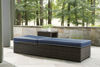 Picture of Grasson Lane Chaise Lounge with Cushion