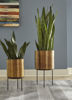 Picture of Planter Set (2/CN)/Donisha