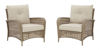 Picture of Braylee Lounge Chair with Cushion (Set of 2)