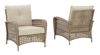 Picture of Braylee Lounge Chair with Cushion (Set of 2)