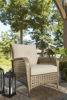 Picture of Braylee Lounge Chair with Cushion (Set of 2)