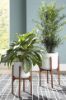 Picture of Dorcey Planter Set (2/CN)