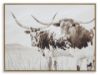 Picture of GRIFFNER WALL ART