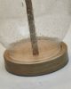 Picture of Clayleigh Glass Table Lamp (2/CN)