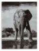 Picture of GLINYARD WALL ART