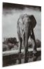 Picture of GLINYARD WALL ART