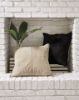 Picture of Rayvale Pillow
