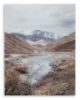 Picture of DARINBY WALL ART
