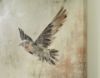 Picture of COLLMUND WALL ART