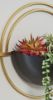 Picture of Tobins Wall Planter Set (3/CN)