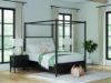 Picture of PORTDOWN QN UPH CANOPY BED