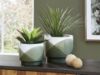 Picture of Ardenridge Planter Set (2/CN)