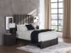Picture of PARLAYON QUEEN STORAGE BED