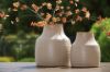 Picture of Millcott Vase (2/CS)
