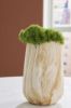 Picture of CAMMEN VASE