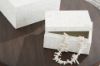 Picture of ALDENBURG BOX (SET OF 2)