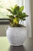 Picture of MEADIE VASE