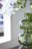 Picture of RENETHORNE VASE