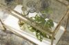 Picture of PLATTFIELD BAR CART