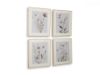 Picture of CHETTINGS WALL ART (SET OF 4)