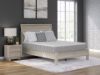 Picture of TERRA SLEEP MEDIUM QUEEN MATTRESS