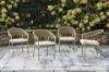 Picture of OCEAN PARK OUTDOOR ARM CHAIR WITH CUSHION (SET OF 4)