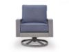Picture of DILLON BEACH OUTDOOR SWIVEL LOUNGE CHAIR WITH CUSHION