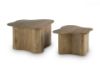 Picture of ABEFORD ACCENT COFFEE TABLE (SET OF 2)