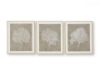 Picture of HENDRIDGE WALL ART (SET OF 3)