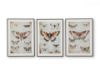 Picture of JOSSLETTS WALL ART (SET OF 3)