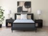 Picture of DESTIN COVE PT QUEEN MATTRESS