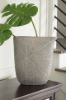 Picture of ARDENLEY VASE (SET OF 2)